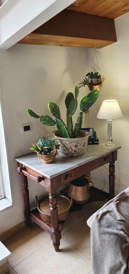 Palermit'Amo Bed & Breakfast Palermo Luaran gambar
